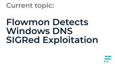 Flowmon обнаруживает использование уязвимости Windows DNS Signed